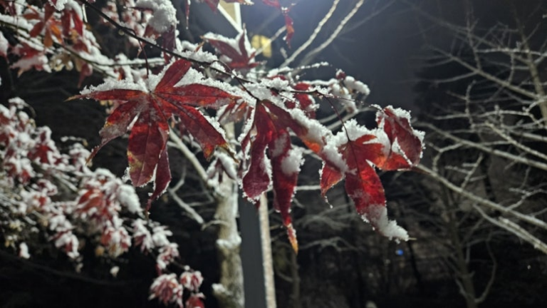 Winter’s First Snow in Paju