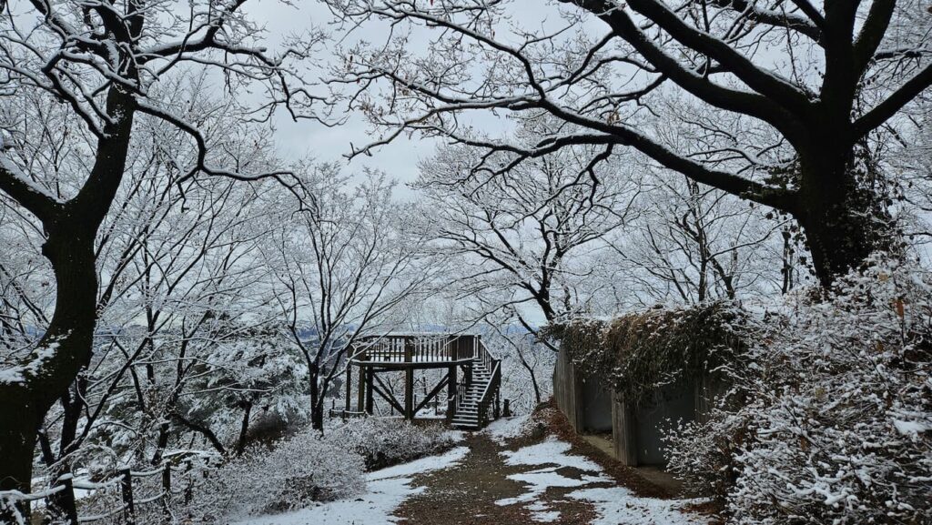 정상 데크 전경